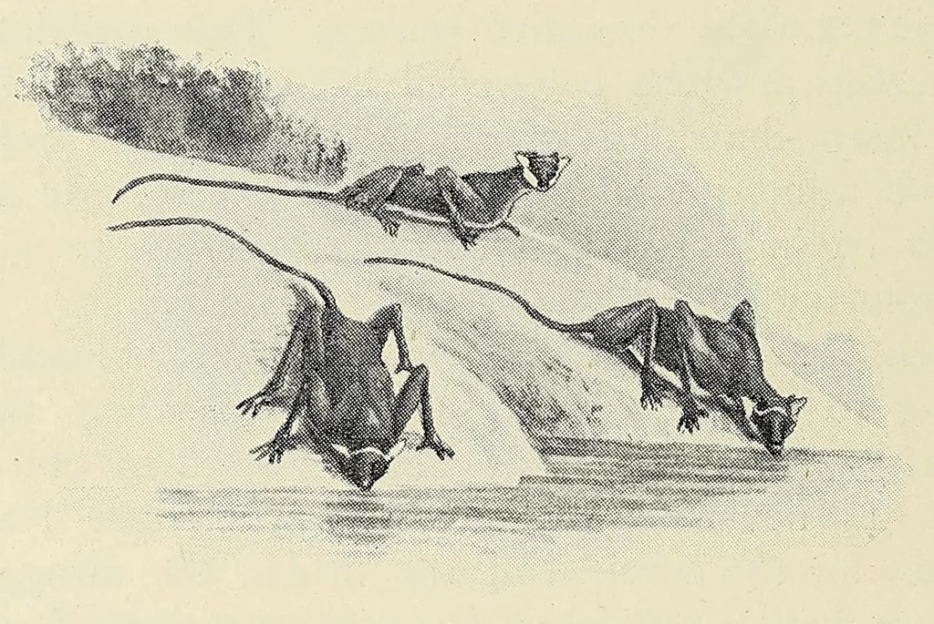 An illustration from Savage Sudan : its wild tribes, big-game and bird-life, 1921, leaf 390