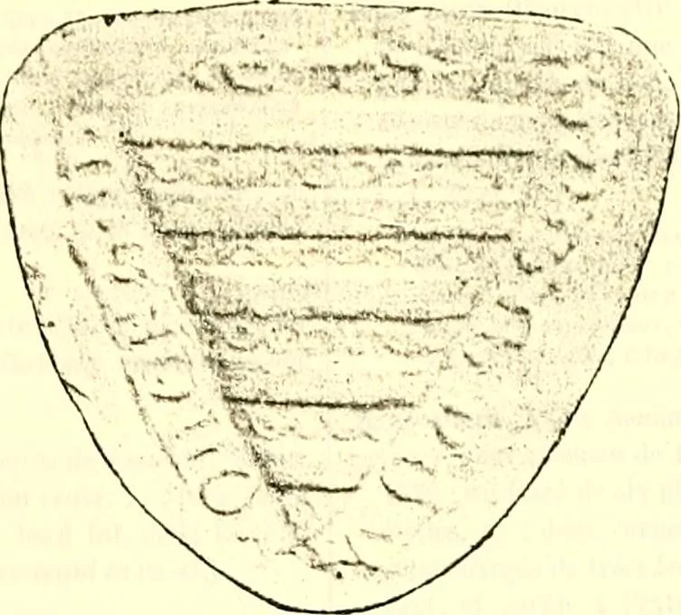 An illustration from Sceaux armoríes des Pays-Bas et des pays avoisinants (Belgique--Royaume des Pays-Bas--Luxembourg--Allemagne--France) recueil historique et héraldique, 1898, leaf 456