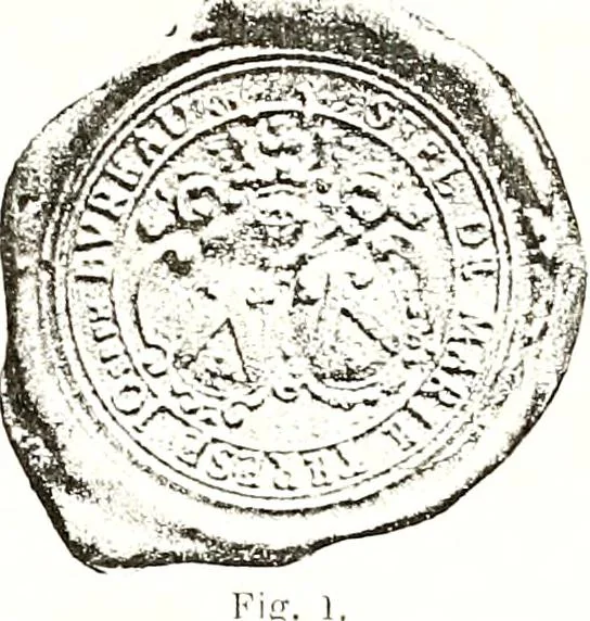 An illustration from Sceaux armoríes des Pays-Bas et des pays avoisinants (Belgique--Royaume des Pays-Bas--Luxembourg--Allemagne--France) recueil historique et héraldique, 1898, leaf 798