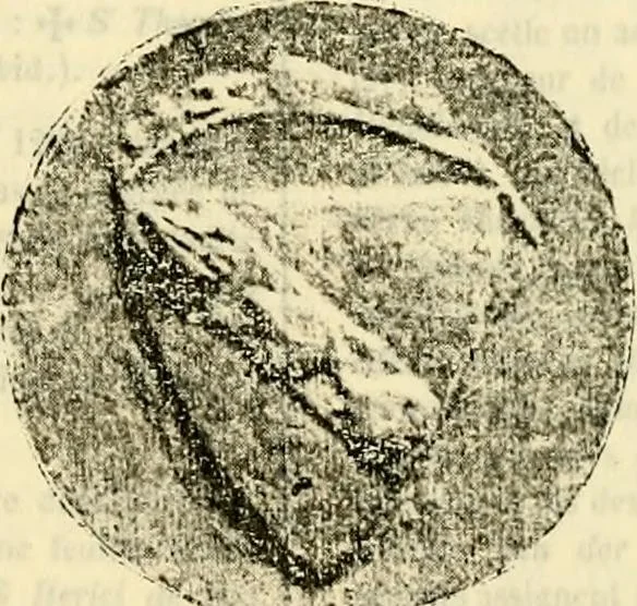 An illustration from Sceaux armoríes des Pays-Bas et des pays avoisinants (Belgique--Royaume des Pays-Bas--Luxembourg--Allemagne--France) recueil historique et héraldique, 1898, leaf 532