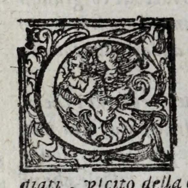 An illustration from Scelta curiosa et ricca officina di varie antiche & moderne istorie : diuisa in tre libri, 1602, leaf 292