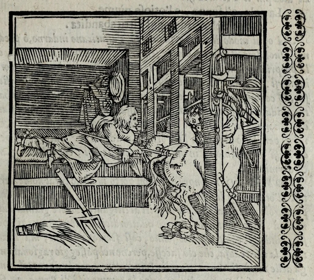 An illustration from Scelta curiosa et ricca officina di varie antiche & moderne istorie : diuisa in tre libri, 1602, leaf 85