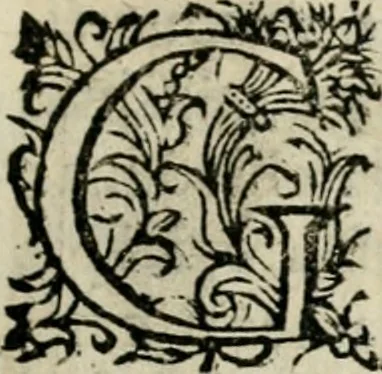 An illustration from Scelta d'alcuni miracoli e grazie della Santissima Nunziata di Firenze, 1636, leaf 100