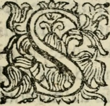 An illustration from Scelta d'alcuni miracoli e grazie della Santissima Nunziata di Firenze, 1636, leaf 110
