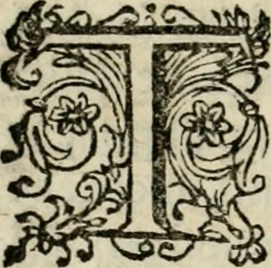 An illustration from Scelta d'alcuni miracoli e grazie della Santissima Nunziata di Firenze, 1636, leaf 127