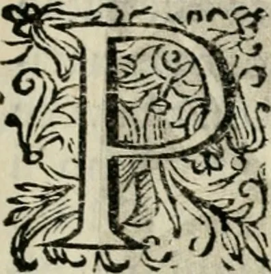 An illustration from Scelta d'alcuni miracoli e grazie della Santissima Nunziata di Firenze, 1636, leaf 146