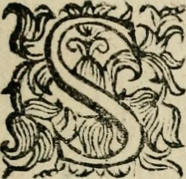 An illustration from Scelta d'alcuni miracoli e grazie della Santissima Nunziata di Firenze, 1636, leaf 152