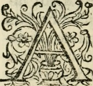 An illustration from Scelta d'alcuni miracoli e grazie della Santissima Nunziata di Firenze, 1636, leaf 173