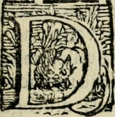 An illustration from Scelta d'alcuni miracoli e grazie della Santissima Nunziata di Firenze, 1636, leaf 212