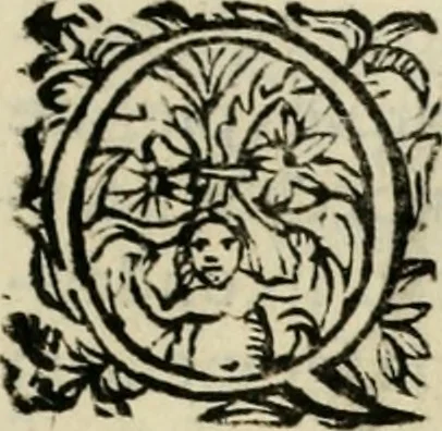 An illustration from Scelta d'alcuni miracoli e grazie della Santissima Nunziata di Firenze, 1636, leaf 224
