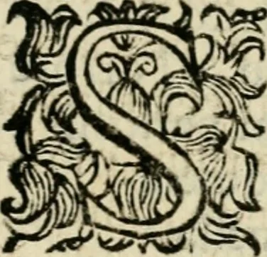 An illustration from Scelta d'alcuni miracoli e grazie della Santissima Nunziata di Firenze, 1636, leaf 226