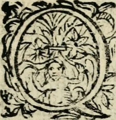 An illustration from Scelta d'alcuni miracoli e grazie della Santissima Nunziata di Firenze, 1636, leaf 252