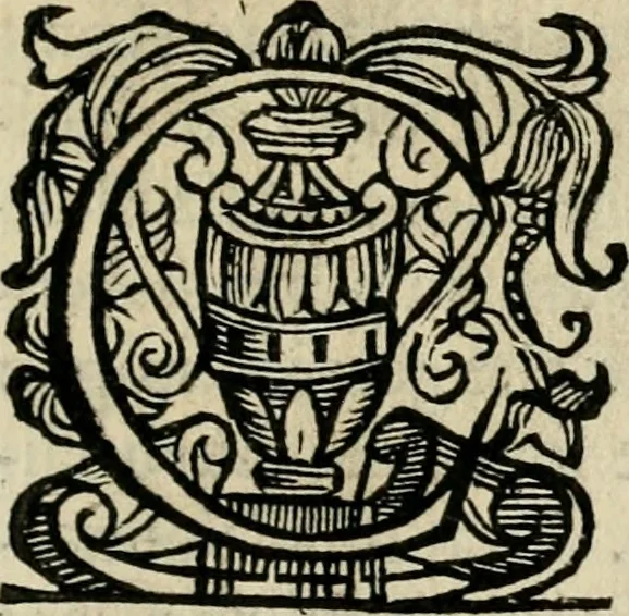 An illustration from Scelta d'alcuni miracoli e grazie della Santissima Nunziata di Firenze, 1636, leaf 26