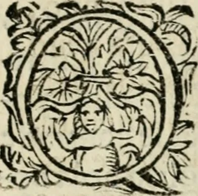 An illustration from Scelta d'alcuni miracoli e grazie della Santissima Nunziata di Firenze, 1636, leaf 260