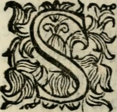 An illustration from Scelta d'alcuni miracoli e grazie della Santissima Nunziata di Firenze, 1636, leaf 264