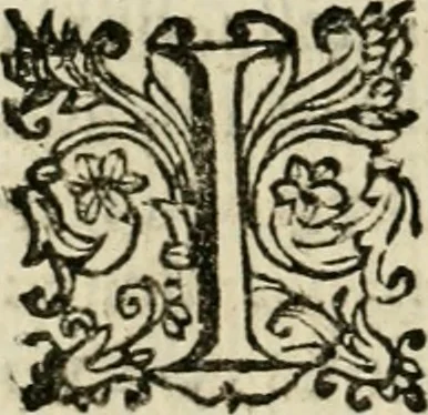 An illustration from Scelta d'alcuni miracoli e grazie della Santissima Nunziata di Firenze, 1636, leaf 31