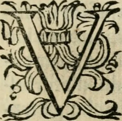 An illustration from Scelta d'alcuni miracoli e grazie della Santissima Nunziata di Firenze, 1636, leaf 36