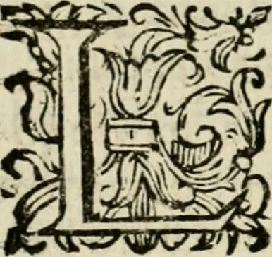 An illustration from Scelta d'alcuni miracoli e grazie della Santissima Nunziata di Firenze, 1636, leaf 41