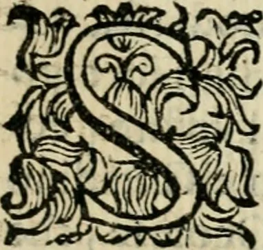 An illustration from Scelta d'alcuni miracoli e grazie della Santissima Nunziata di Firenze, 1636, leaf 52