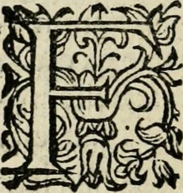An illustration from Scelta d'alcuni miracoli e grazie della Santissima Nunziata di Firenze, 1636, leaf 67