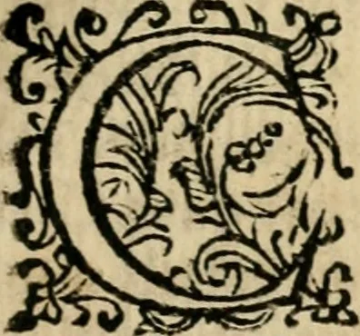 An illustration from Scelta d'alcuni miracoli e grazie della Santissima Nunziata di Firenze, 1636, leaf 72