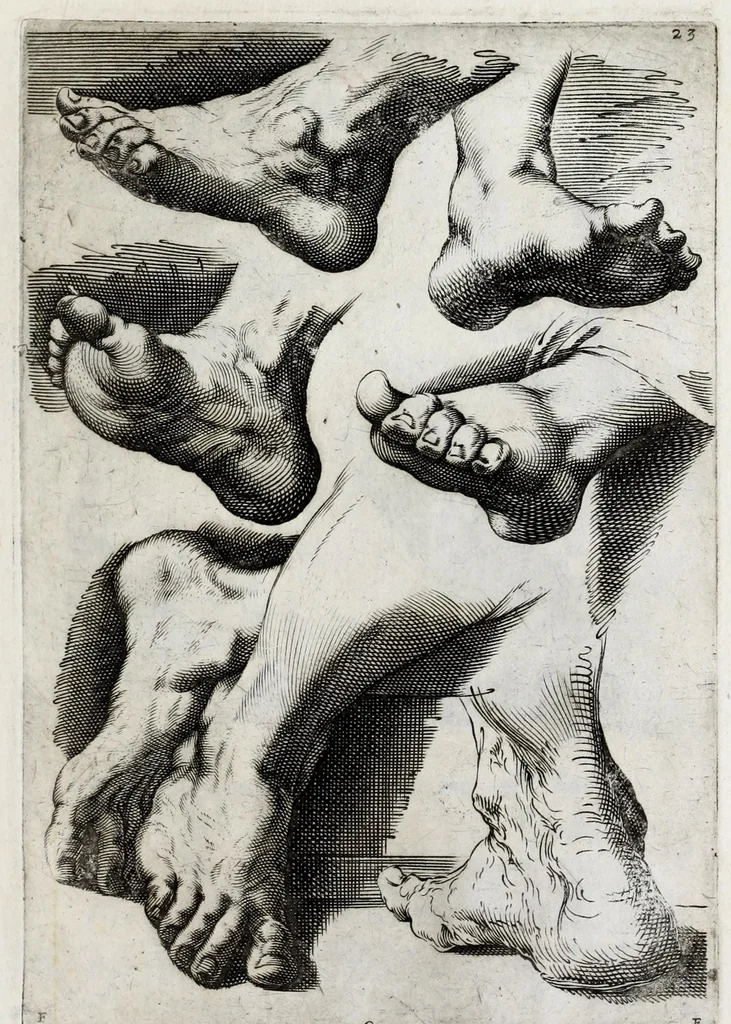 An illustration from Scelta di disegni del Caracci, Parmegiani et di Guido Reni, 1660, leaf 49