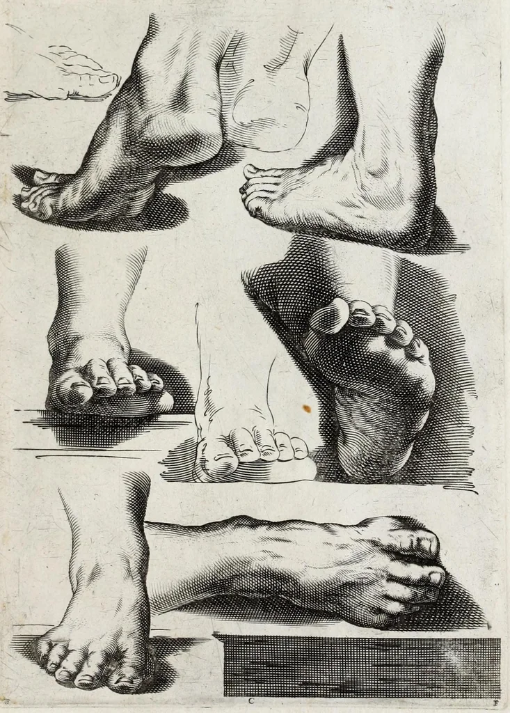 An illustration from Scelta di disegni del Caracci, Parmegiani et di Guido Reni, 1660, leaf 51