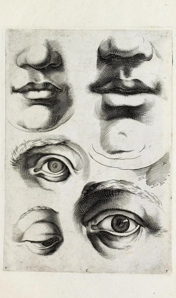 An illustration from Scelta di disegni del Caracci, Parmegiani et di Guido Reni, 1660, leaf 9