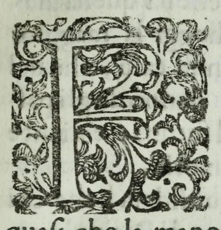 An illustration from Scena d'huomeni illustri d'Europa, 1658, leaf 13