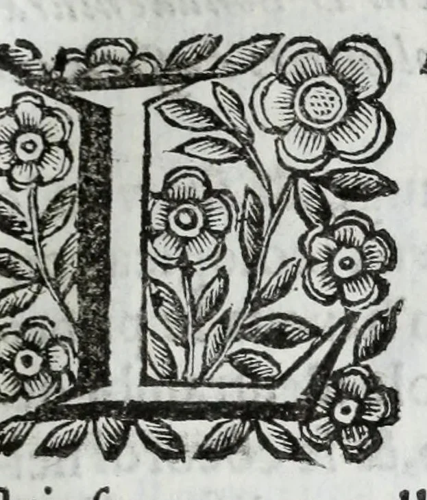 An illustration from Scena letteraria de gli scrittori Bergamaschi : aperta alla curiosita' de suoi concittadini, 1664, leaf 107
