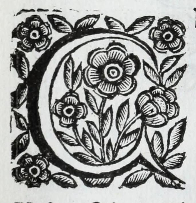 An illustration from Scena letteraria de gli scrittori Bergamaschi : aperta alla curiosita' de suoi concittadini, 1664, leaf 112