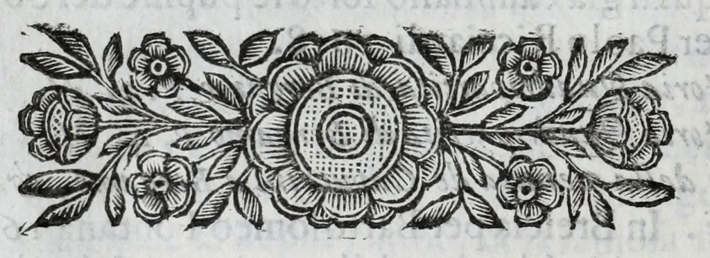 An illustration from Scena letteraria de gli scrittori Bergamaschi : aperta alla curiosita' de suoi concittadini, 1664, leaf 126