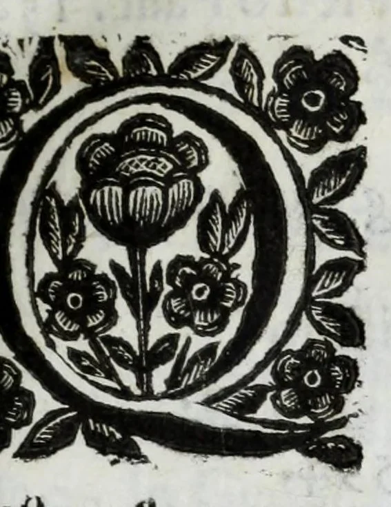 An illustration from Scena letteraria de gli scrittori Bergamaschi : aperta alla curiosita' de suoi concittadini, 1664, leaf 137