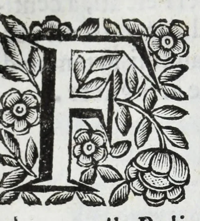 An illustration from Scena letteraria de gli scrittori Bergamaschi : aperta alla curiosita' de suoi concittadini, 1664, leaf 152