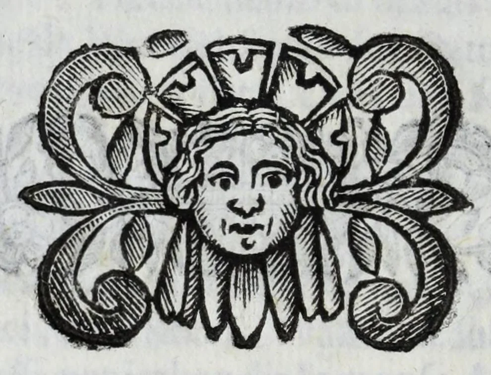 An illustration from Scena letteraria de gli scrittori Bergamaschi : aperta alla curiosita' de suoi concittadini, 1664, leaf 156