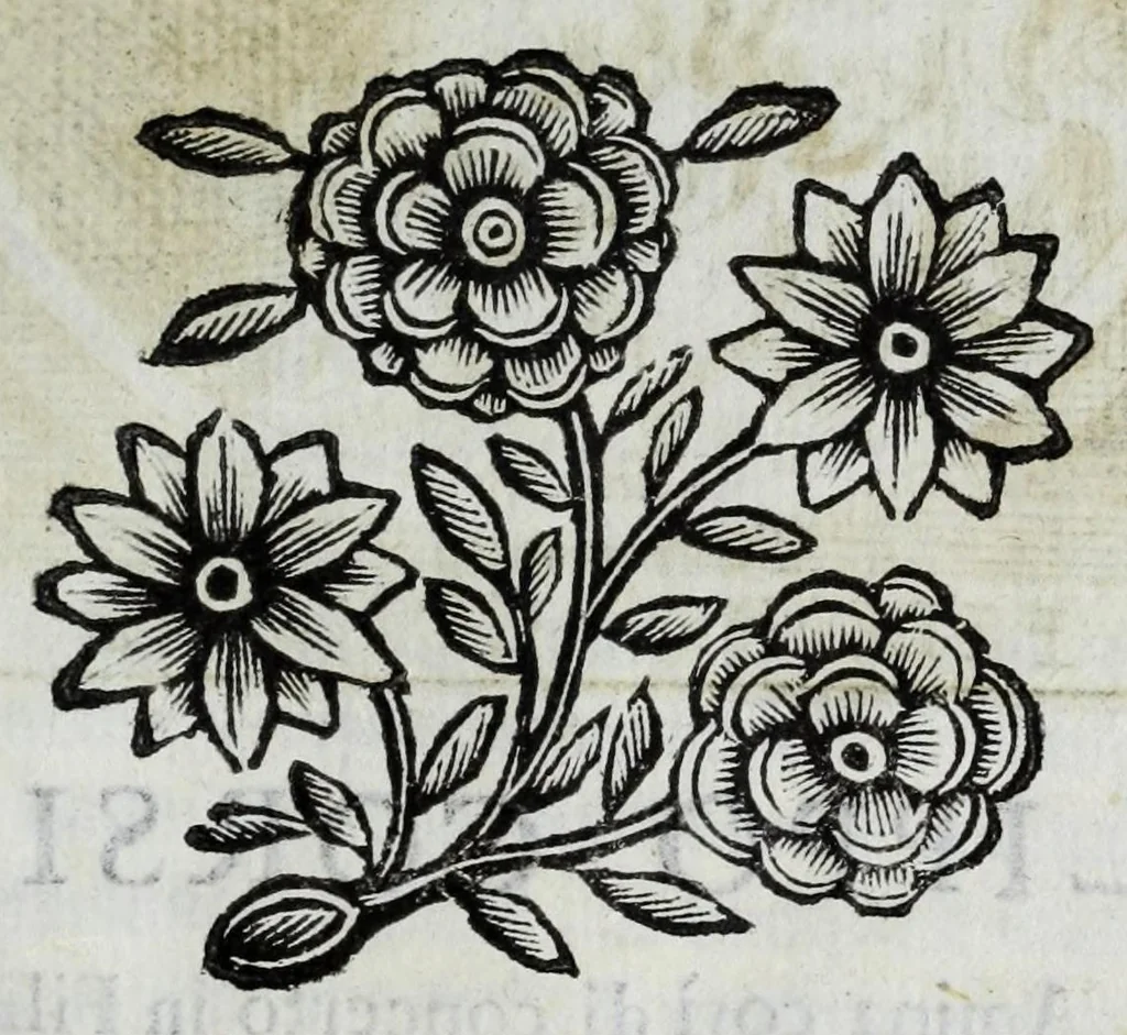 An illustration from Scena letteraria de gli scrittori Bergamaschi : aperta alla curiosita' de suoi concittadini, 1664, leaf 165