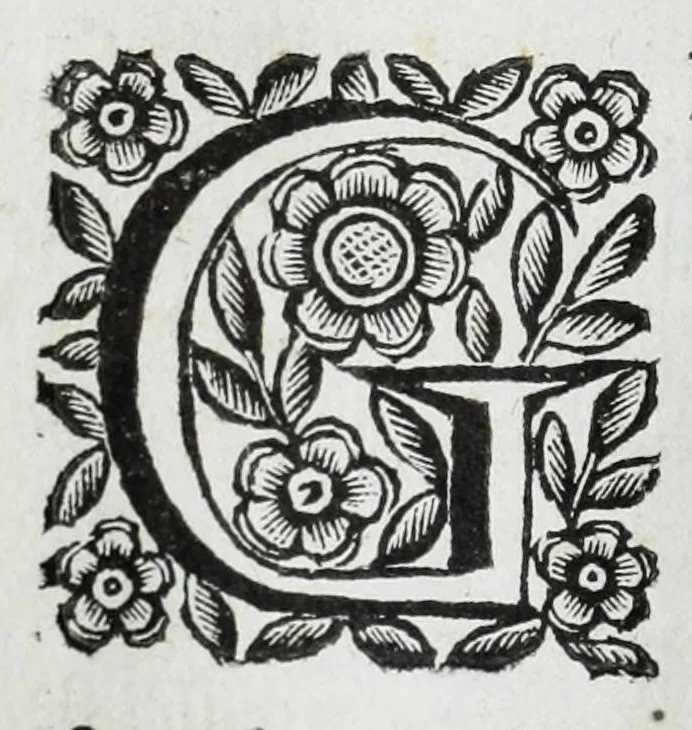 An illustration from Scena letteraria de gli scrittori Bergamaschi : aperta alla curiosita' de suoi concittadini, 1664, leaf 172