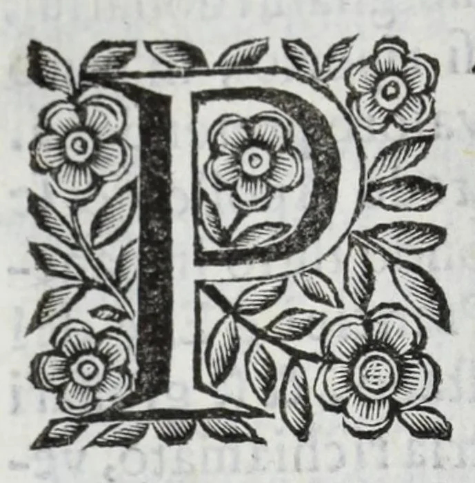 An illustration from Scena letteraria de gli scrittori Bergamaschi : aperta alla curiosita' de suoi concittadini, 1664, leaf 186