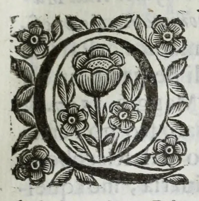 An illustration from Scena letteraria de gli scrittori Bergamaschi : aperta alla curiosita' de suoi concittadini, 1664, leaf 195