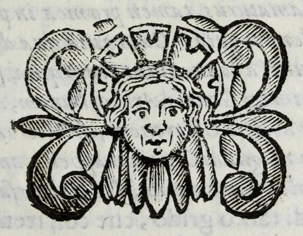 An illustration from Scena letteraria de gli scrittori Bergamaschi : aperta alla curiosita' de suoi concittadini, 1664, leaf 205