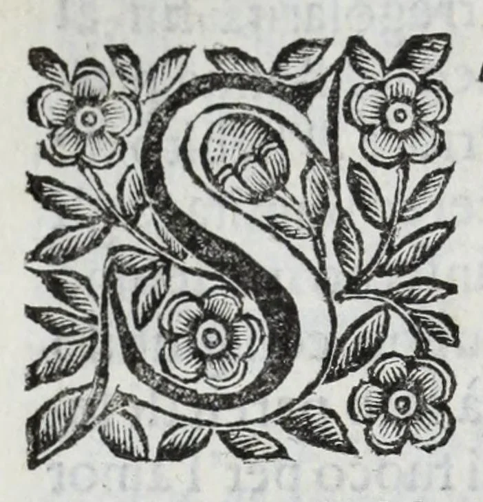 An illustration from Scena letteraria de gli scrittori Bergamaschi : aperta alla curiosita' de suoi concittadini, 1664, leaf 220
