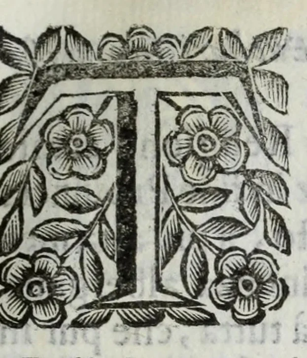 An illustration from Scena letteraria de gli scrittori Bergamaschi : aperta alla curiosita' de suoi concittadini, 1664, leaf 239