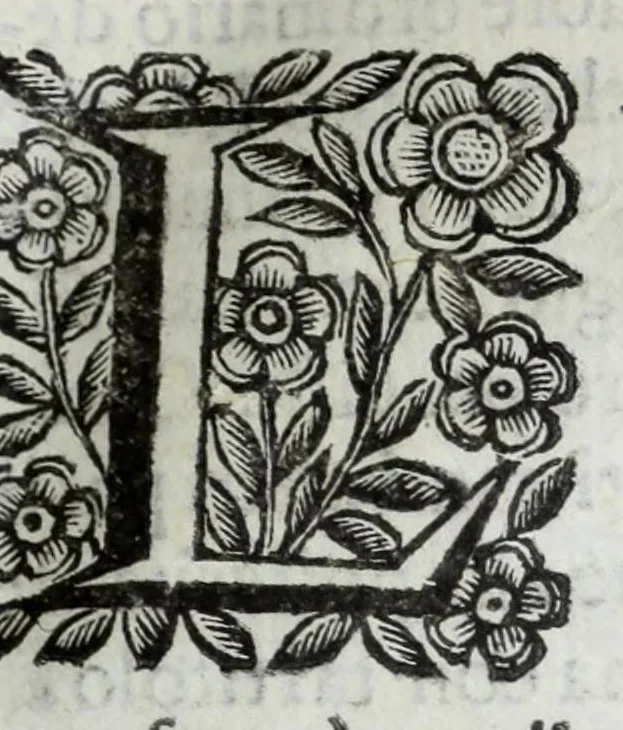 An illustration from Scena letteraria de gli scrittori Bergamaschi : aperta alla curiosita' de suoi concittadini, 1664, leaf 263