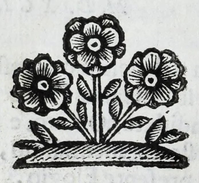 An illustration from Scena letteraria de gli scrittori Bergamaschi : aperta alla curiosita' de suoi concittadini, 1664, leaf 276