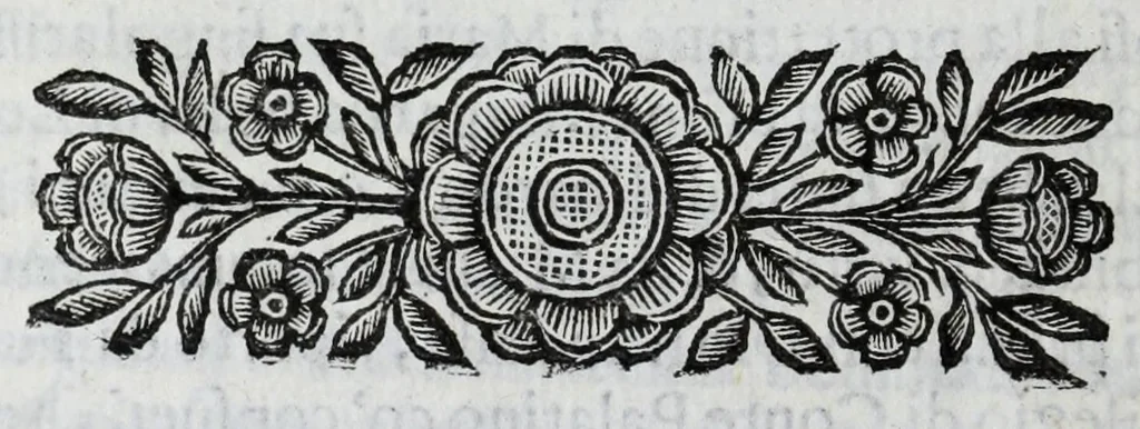 An illustration from Scena letteraria de gli scrittori Bergamaschi : aperta alla curiosita' de suoi concittadini, 1664, leaf 284