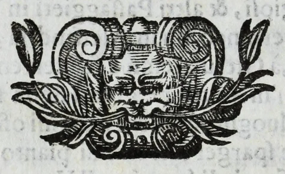 An illustration from Scena letteraria de gli scrittori Bergamaschi : aperta alla curiosita' de suoi concittadini, 1664, leaf 290