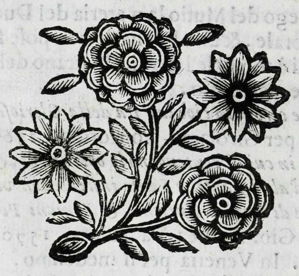 An illustration from Scena letteraria de gli scrittori Bergamaschi : aperta alla curiosita' de suoi concittadini, 1664, leaf 304