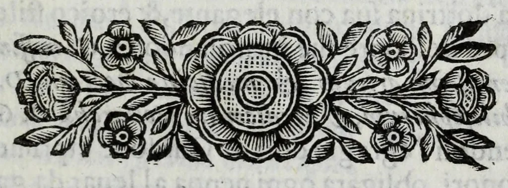 An illustration from Scena letteraria de gli scrittori Bergamaschi : aperta alla curiosita' de suoi concittadini, 1664, leaf 325