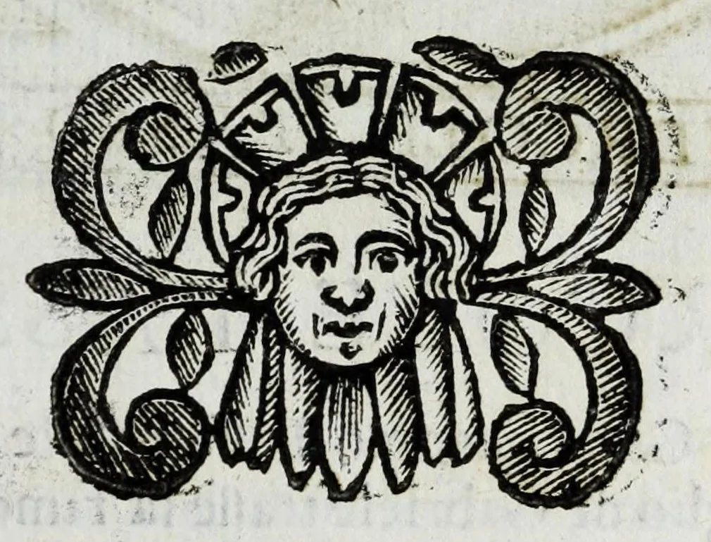 An illustration from Scena letteraria de gli scrittori Bergamaschi : aperta alla curiosita' de suoi concittadini, 1664, leaf 351