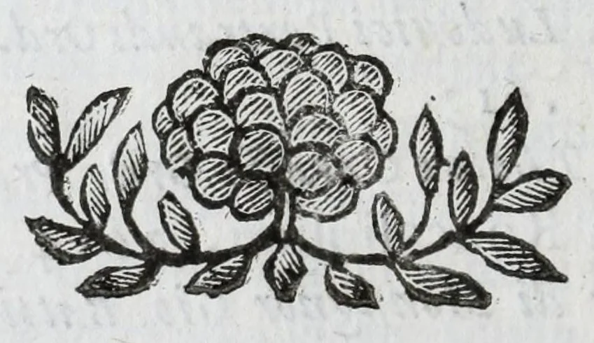 An illustration from Scena letteraria de gli scrittori Bergamaschi : aperta alla curiosita' de suoi concittadini, 1664, leaf 394